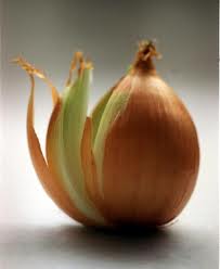 layers of an Onion